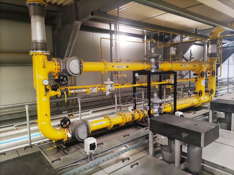 Imagen de ððððð ððððððð¼ | ððððððð¼ ð¿ð ð¾ðððð¼ðððð¼ð¾ððð ð ðð¼ð ðð ððð¼ðð¼ð¿ð¼