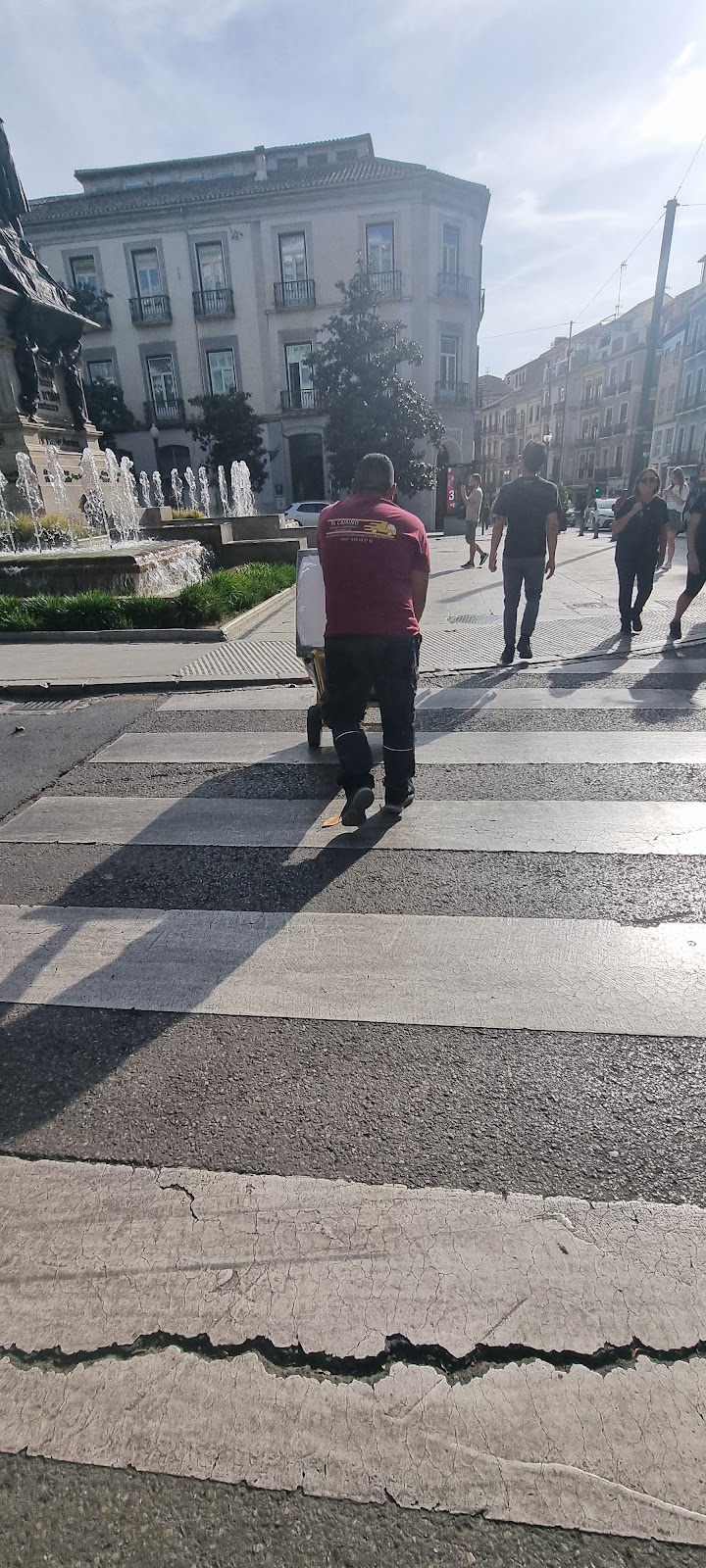 Imagen de Mudanzas Transportes y Multiservicios el Camino