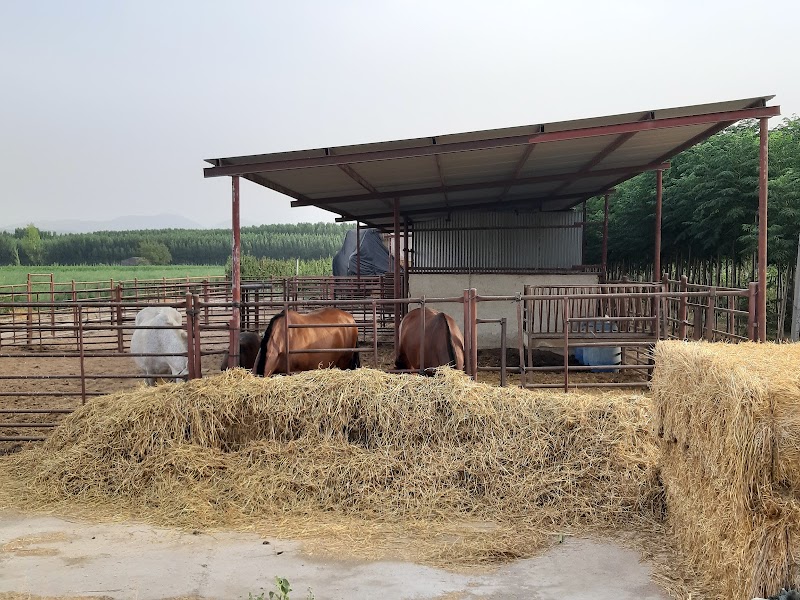 Imagen representativa de la localización