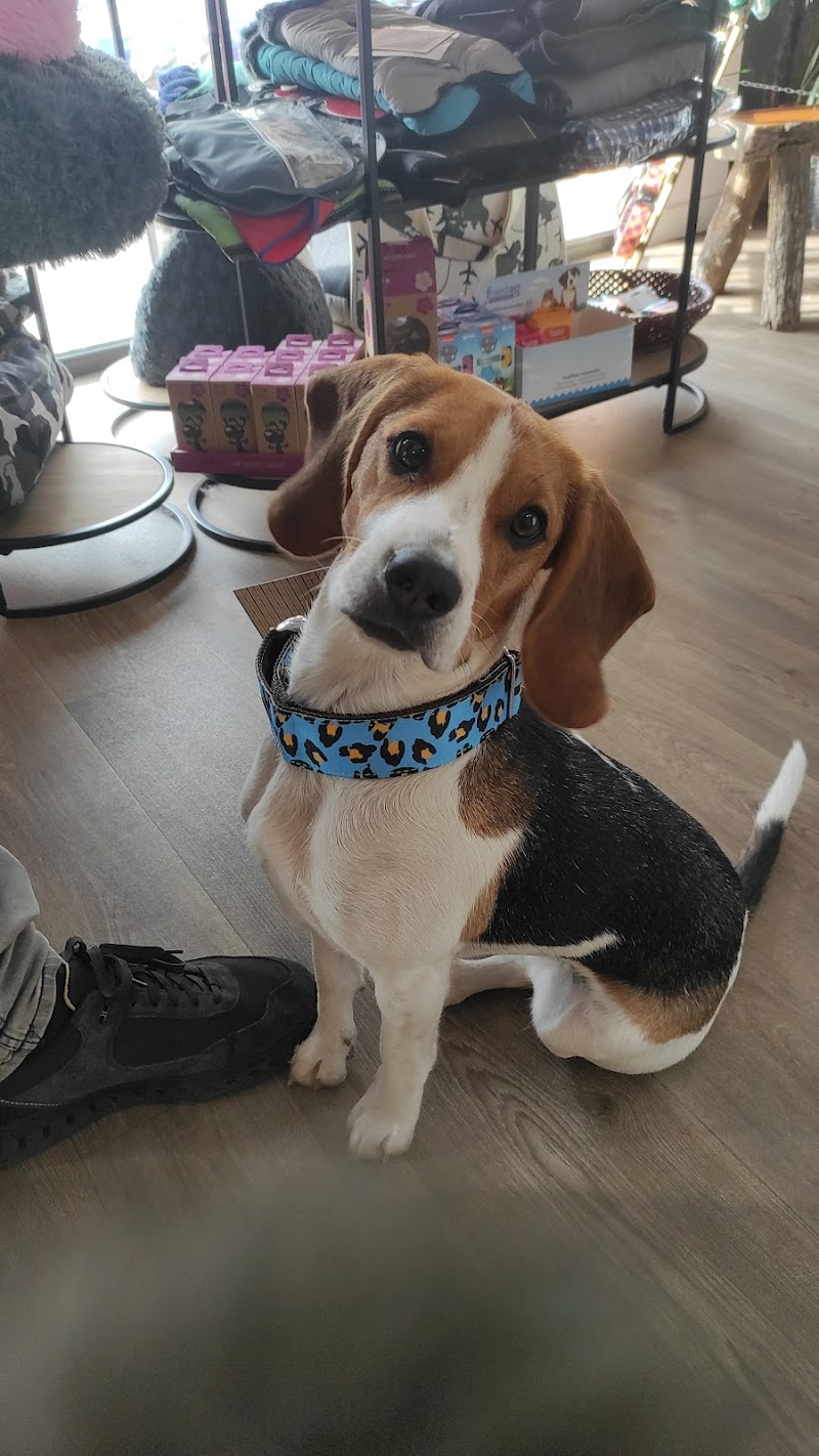 Imagen de Huella&tijera