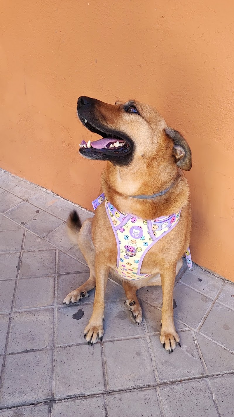 Imagen de Huella&tijera