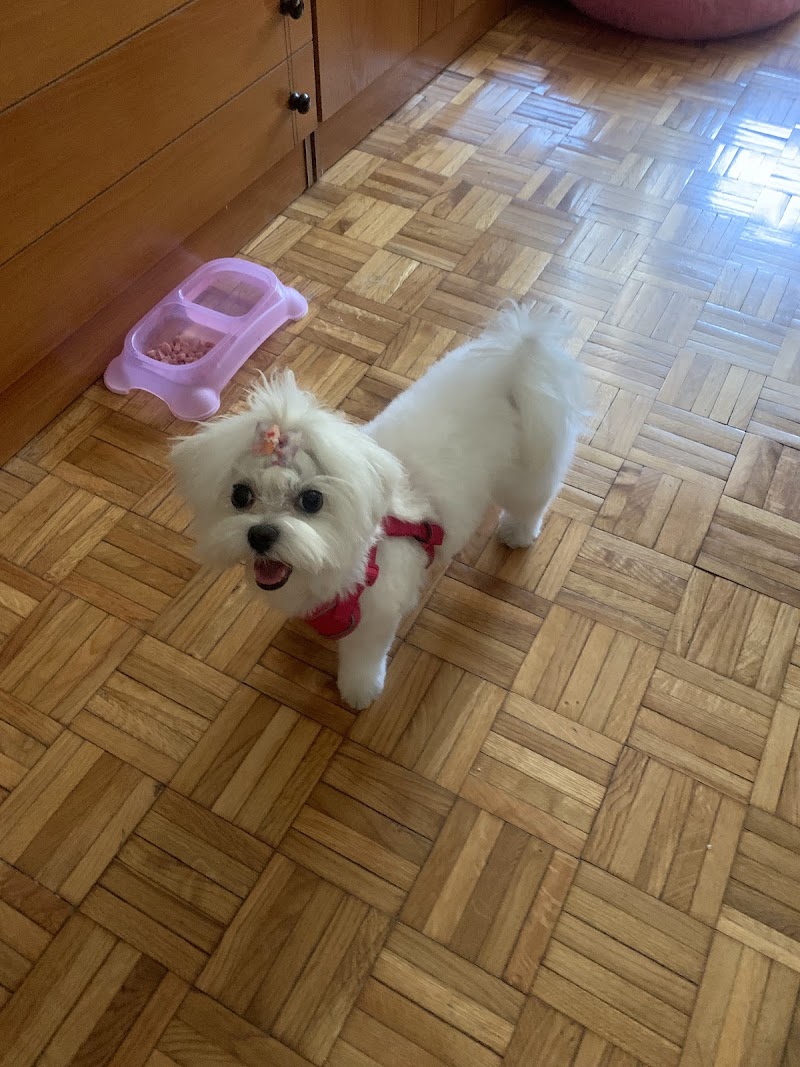 Imagen de Huella&tijera