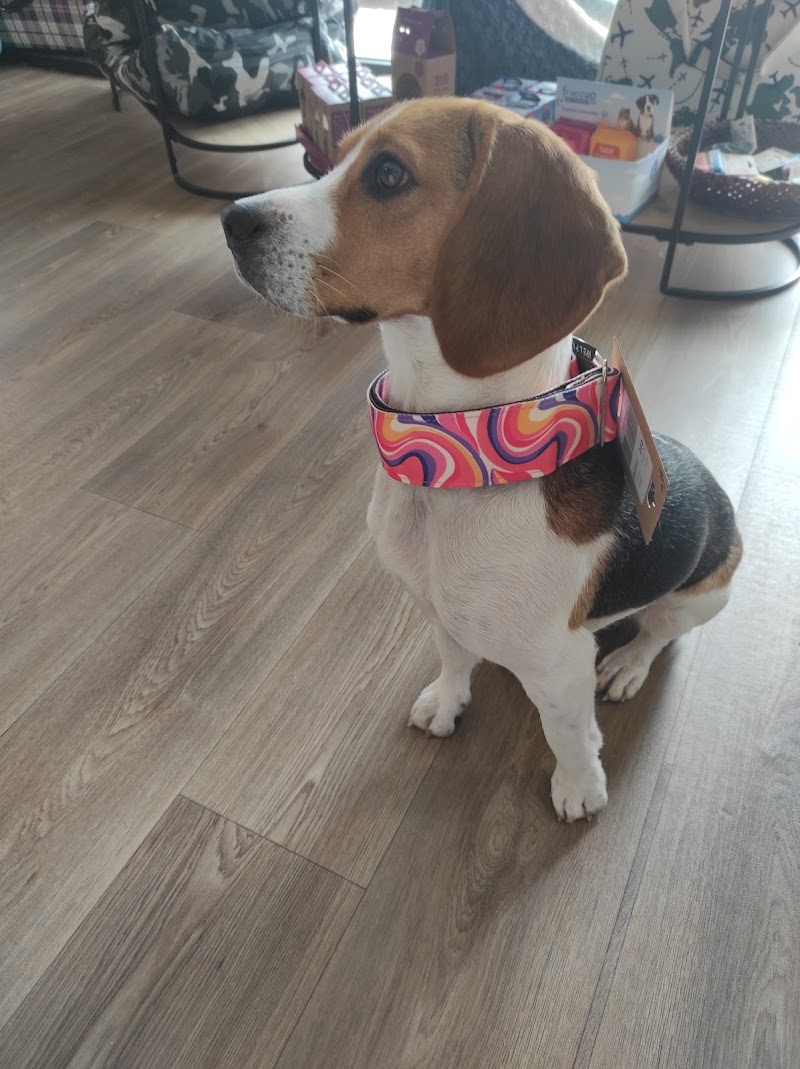 Imagen de Huella&tijera