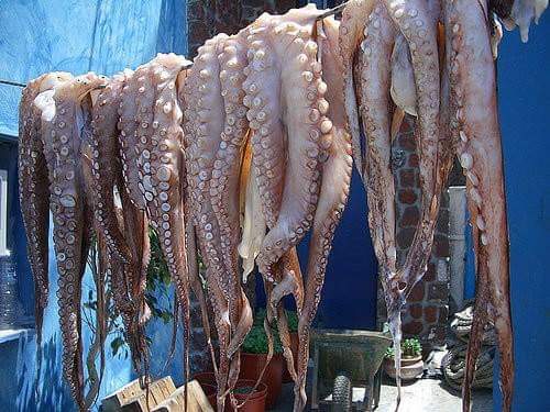 Imagen de Pescadería Alimar Ii