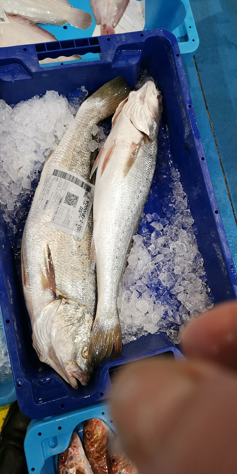 Imagen de Pescadería Alimar Ii