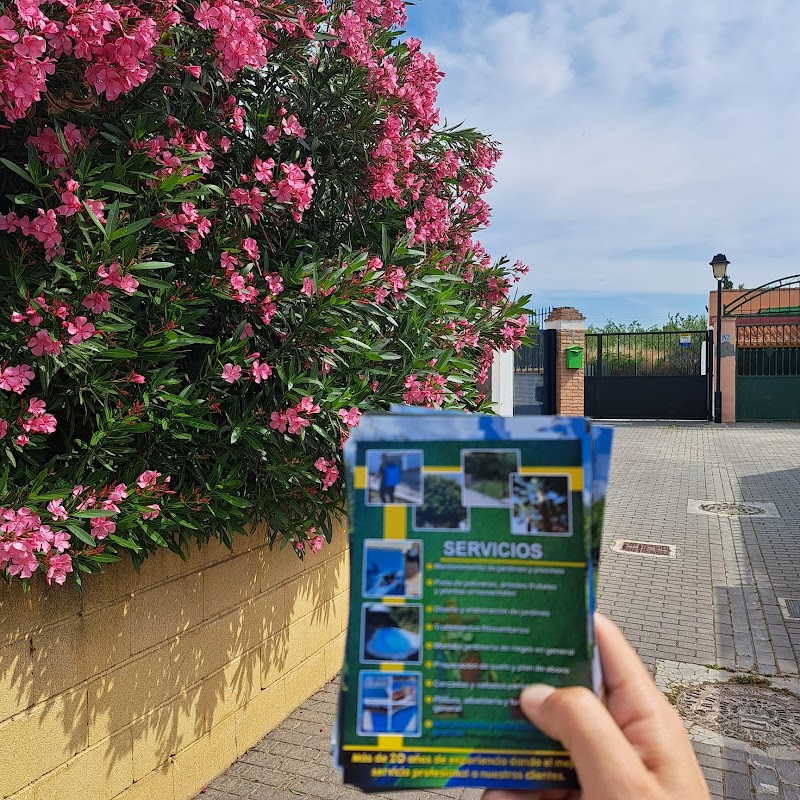 Imagen de Publizona Granada / Servicios Publicitarios Profesionales