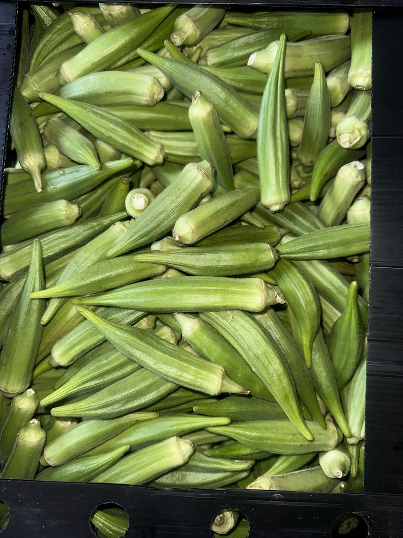 Imagen de Tienda Africana en Granada