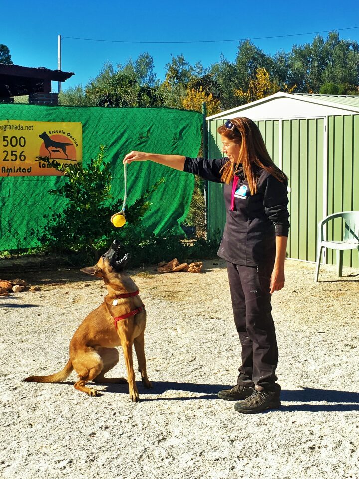 Imagen de negocio en Adiestramiento de mascotas en Provincia de Granada