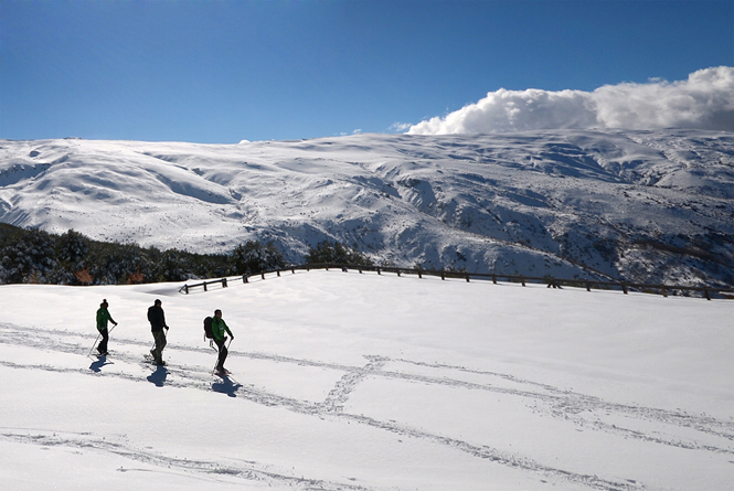 Imagen de Sonríe Travel