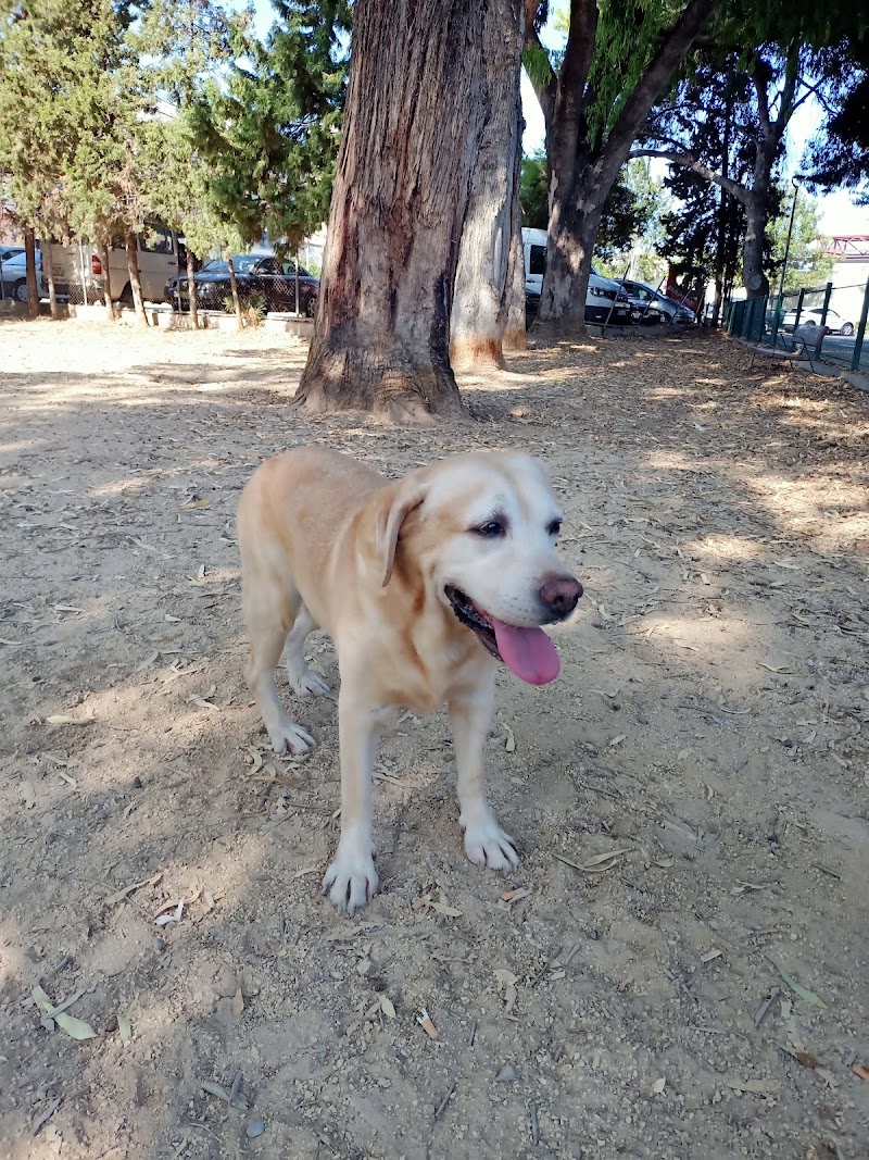 Imagen de Cuidado de Mascotas Gandía