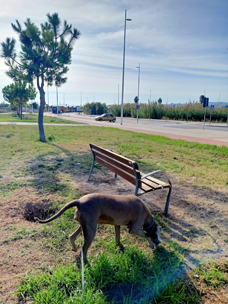 Imagen de Cuidado de Mascotas Gandía