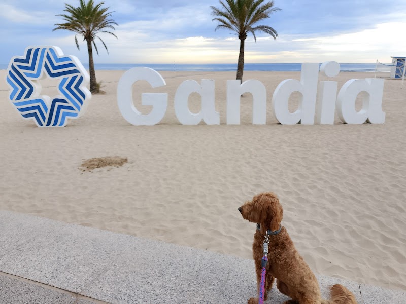 Imagen de Cuidado de Mascotas Gandía