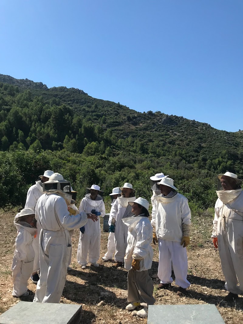 Imagen representativa de la localización