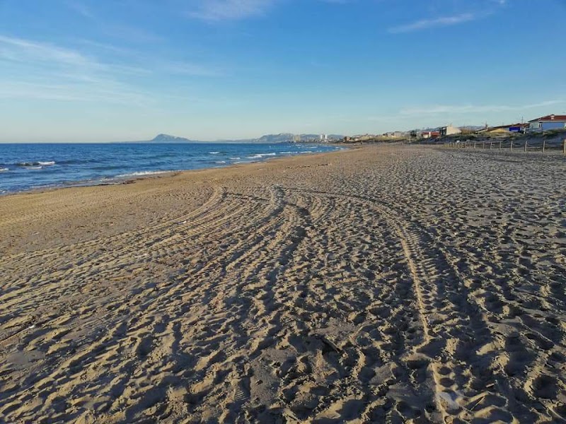 Imagen de Excavaciones Sanfelix S.a