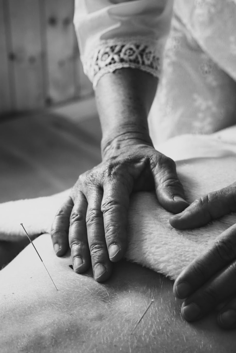 Imagen de Zentro Mtc. Medicina Tradicional China