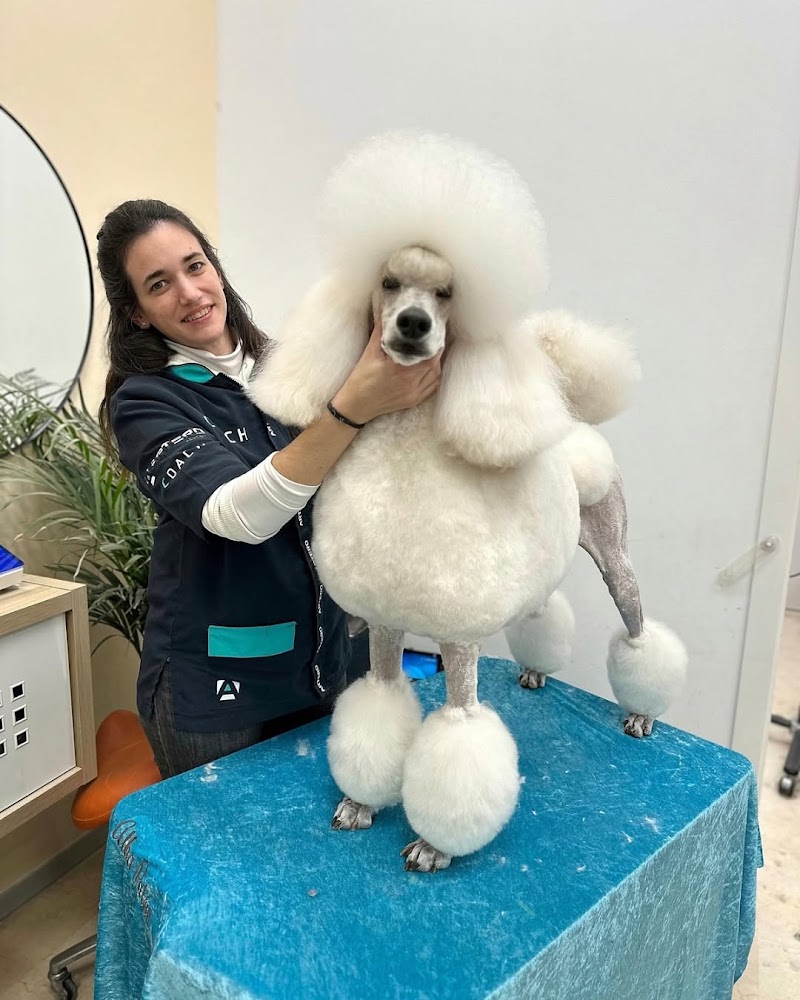 Imagen de negocio en Peluquería canina y felina en Xàtiva