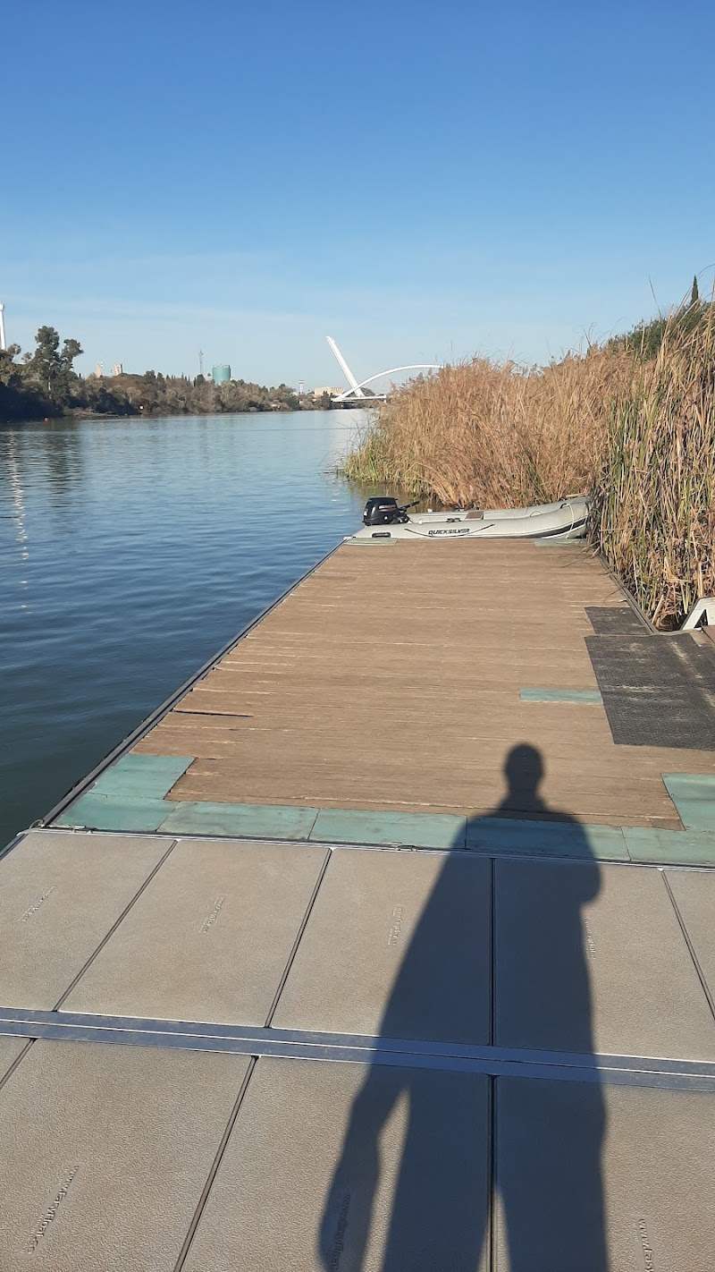 Imagen de Club Deportivo Remo Sevilla