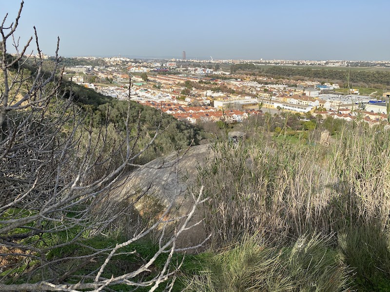 Imagen de Club Deportivo Simón Verde Family Sport Center