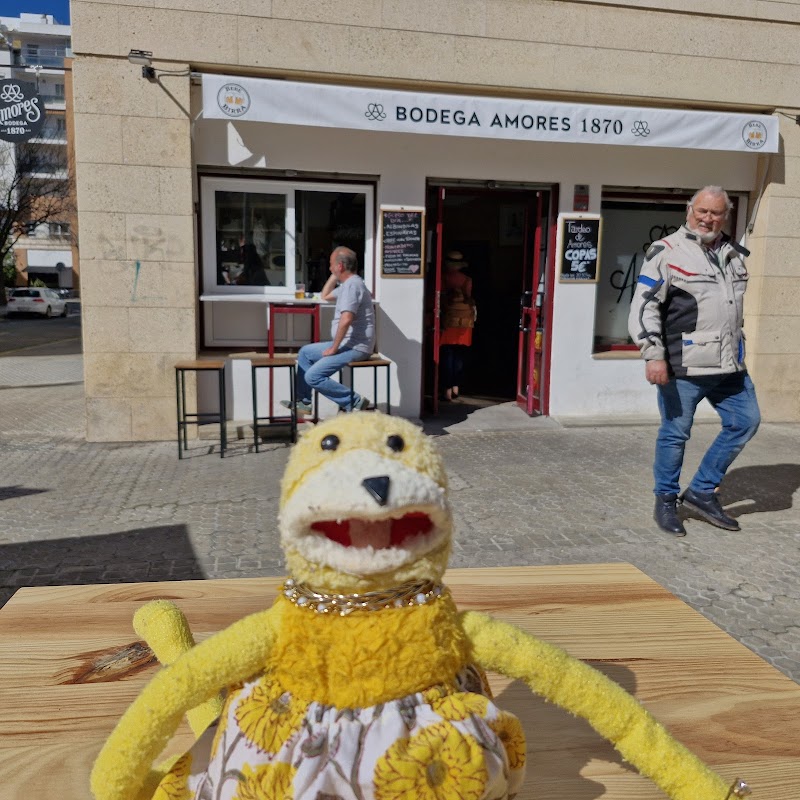 Imagen de Bodega Amores 1870