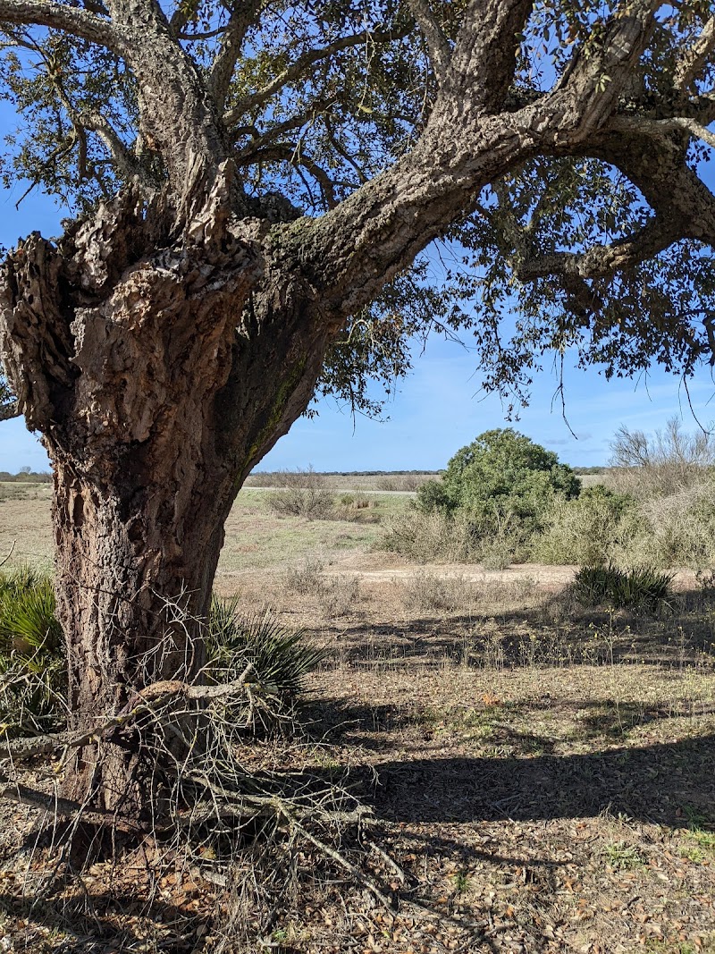 Imagen representativa de la localización
