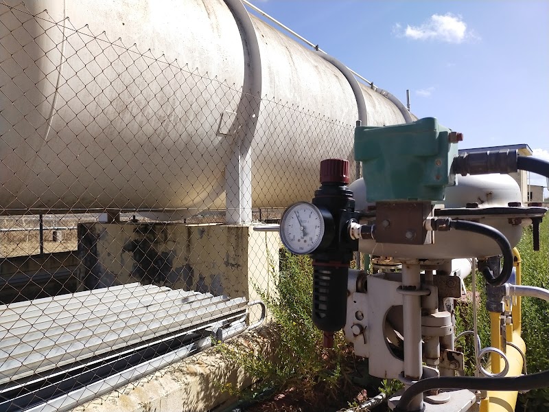 Imagen de El Manitas