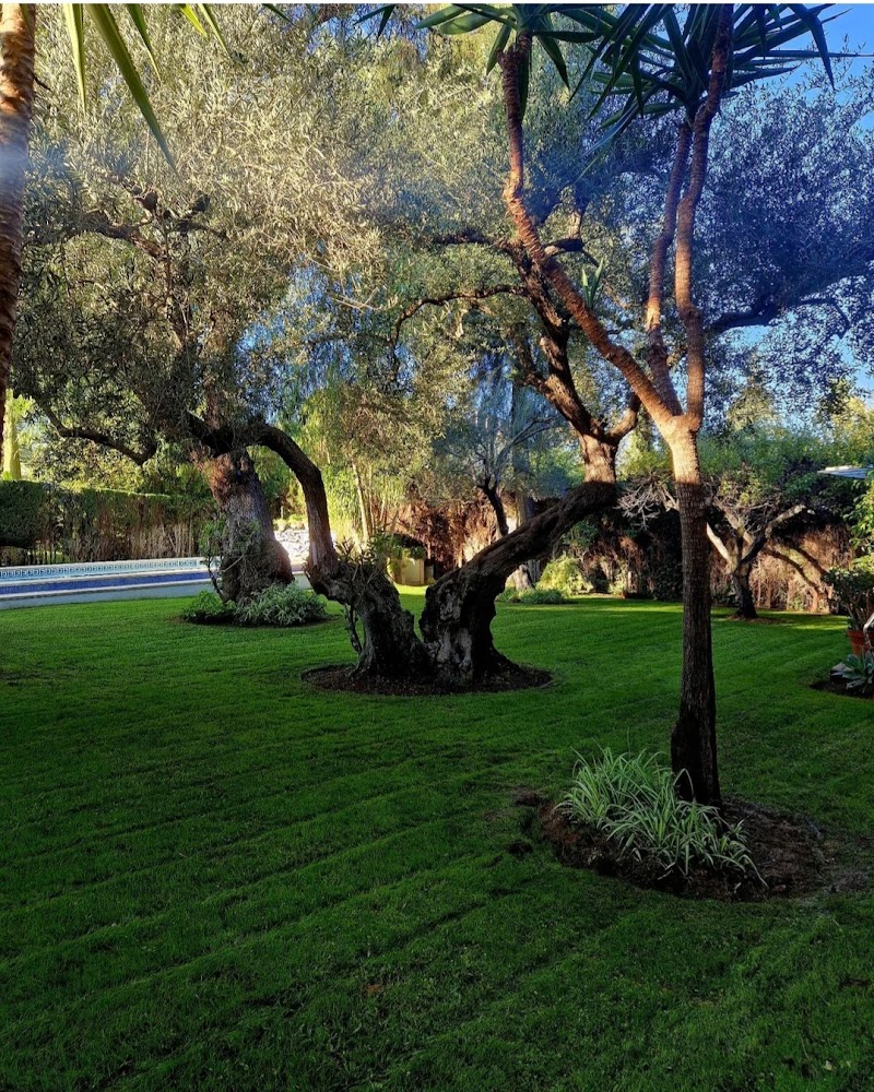 Imagen de negocio en Jardinería en Provincia de Sevilla