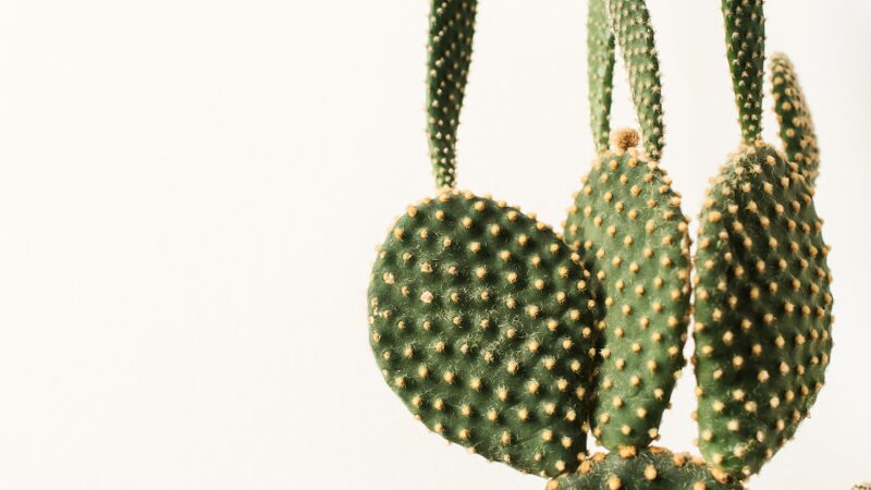 Imagen de Mymy Marketing Digital