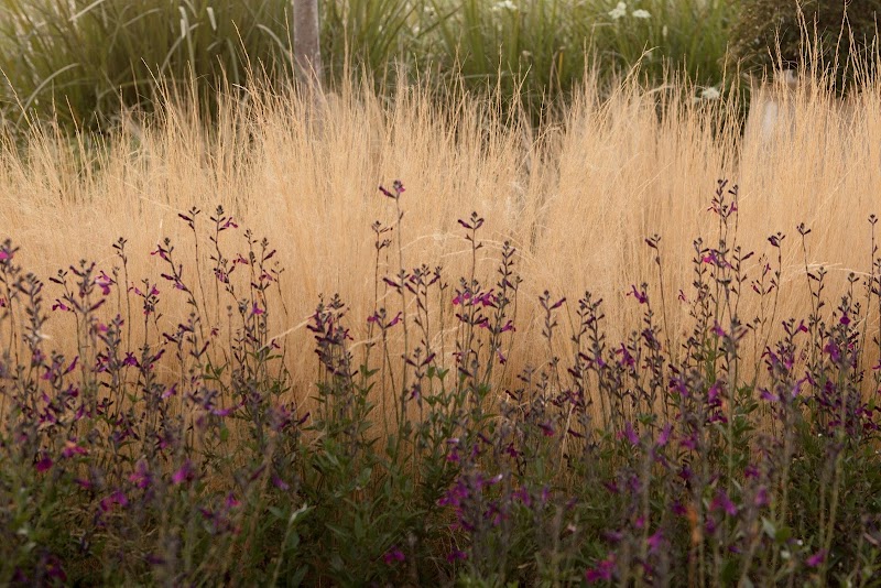 Imagen de Rsr Paisajimo y Jardinería