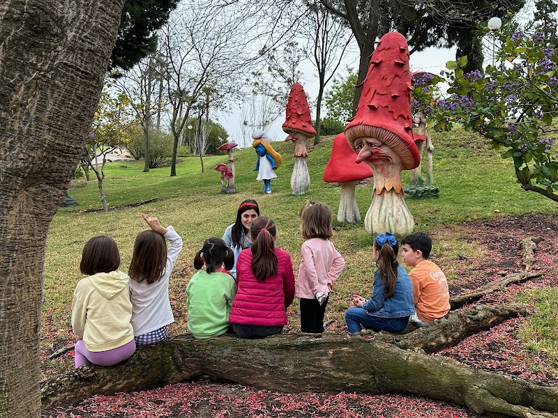 Imagen de Acción Escénica