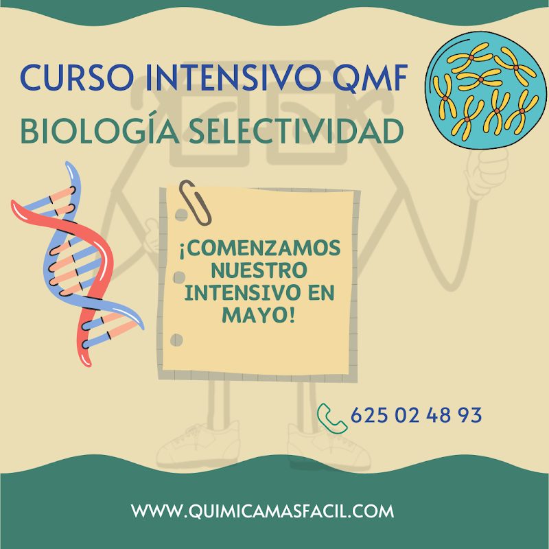 Imagen de Química Más Fácil