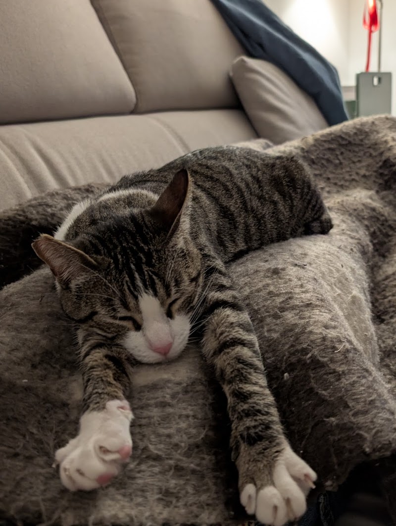 Imagen de Interzoo Sevilla ð¶ð±ð­ Productos para Mascotas | Comprar Pienso para Perros y Gatos