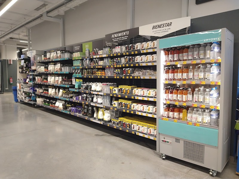 Imagen de Decathlon Sevilla Centro