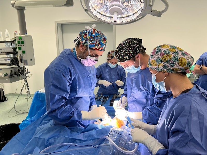 Imagen de Doctor Lara Traumatología Sevilla