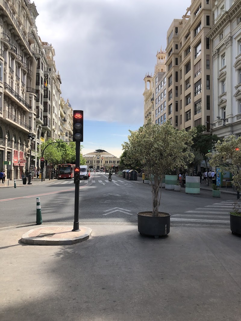 Imagen de Amparo Aguilar Llopis, Cardiólogo