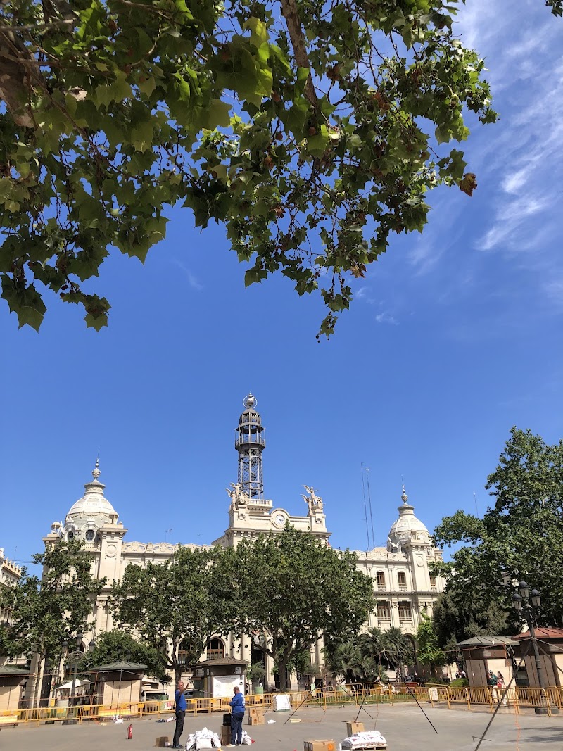 Imagen de Amparo Aguilar Llopis, Cardiólogo