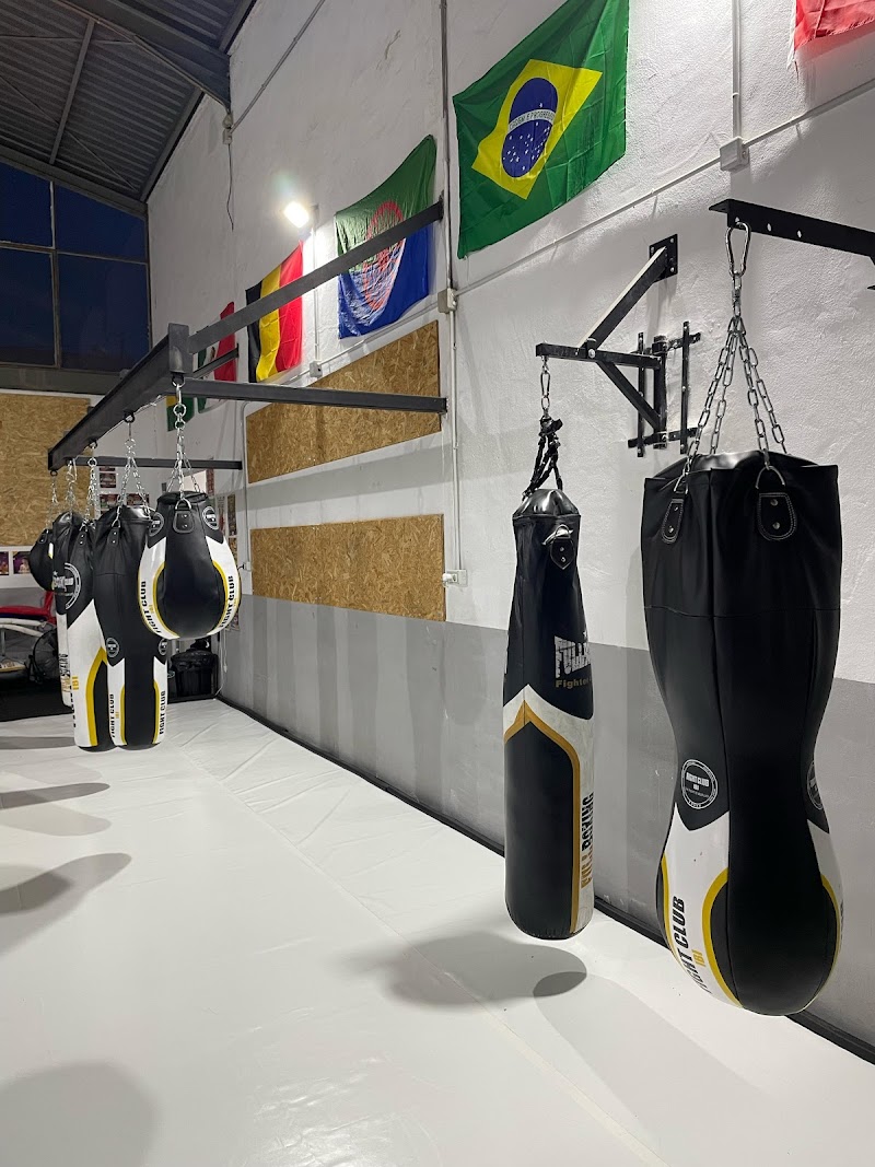 Imagen de Fight Club Ibi