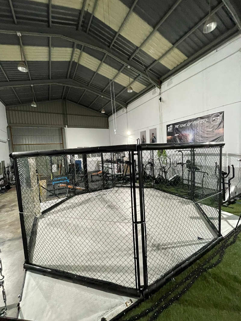 Imagen de Fight Club Ibi