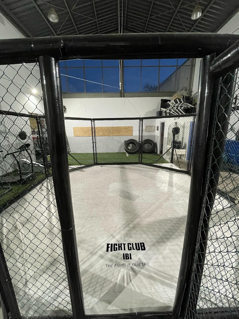 Imagen de Fight Club Ibi