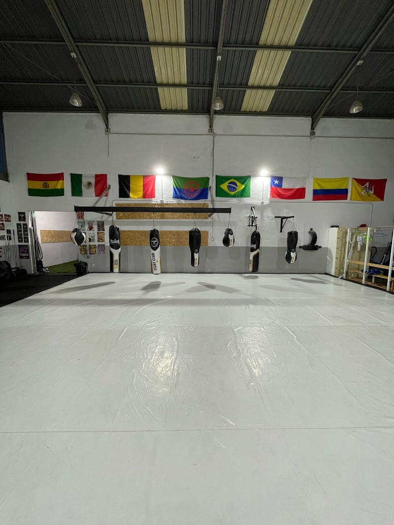 Imagen de Fight Club Ibi