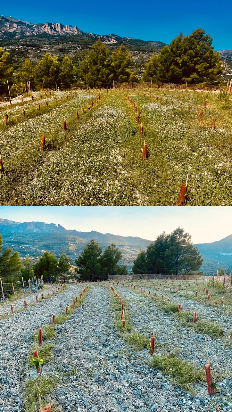 Imagen de Celler 3 Tardors