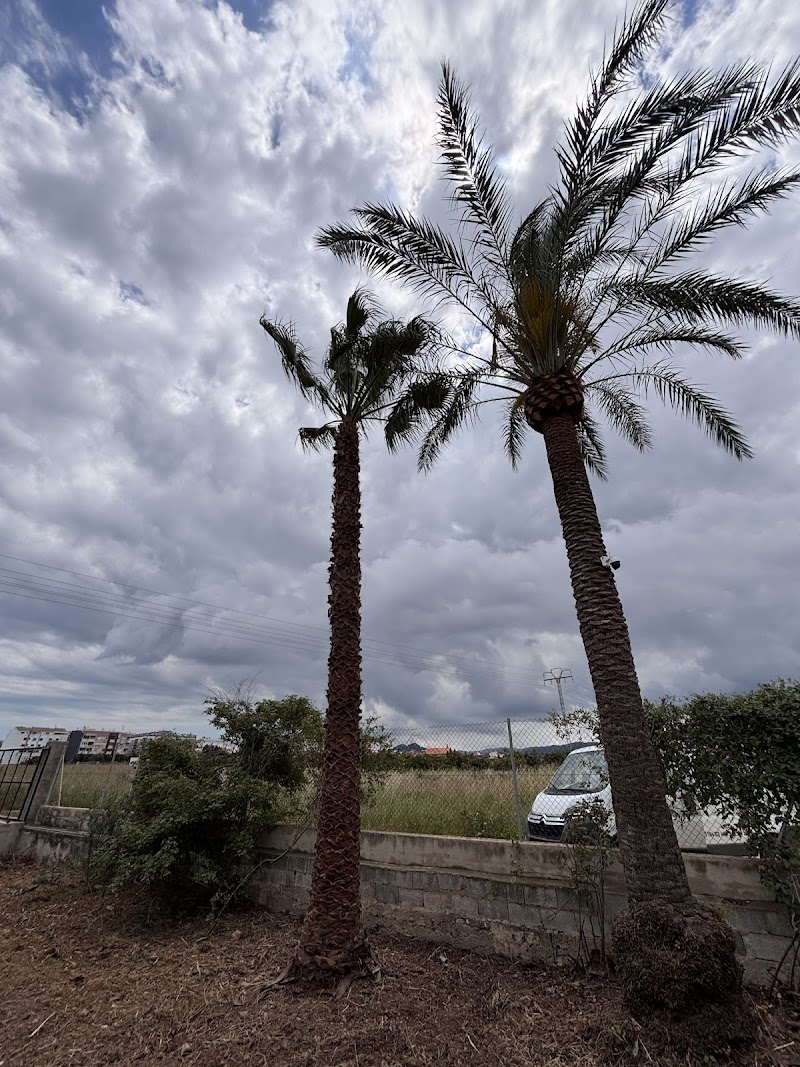 Imagen de Egasa Paisajismo y Jardinería