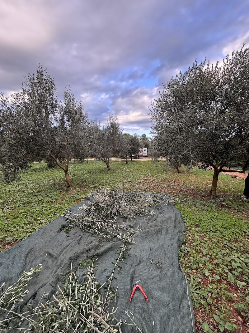 Imagen de Egasa Paisajismo y Jardinería