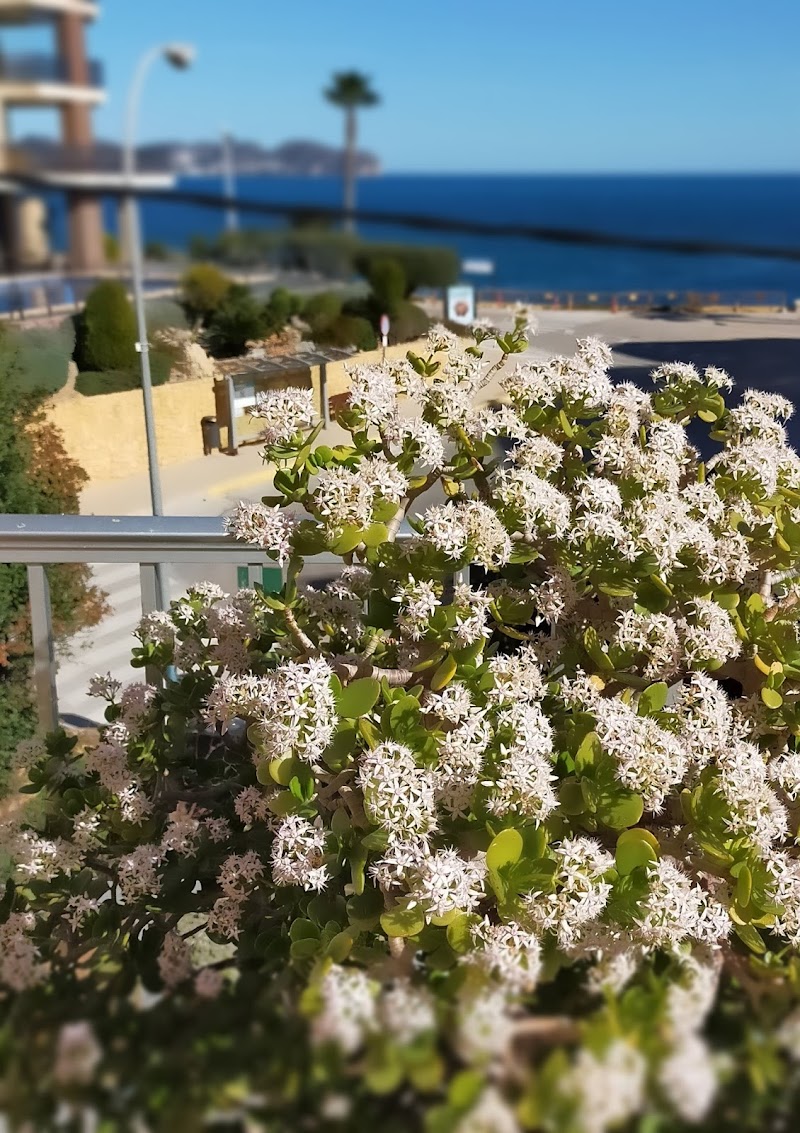 Imagen de Pensión el Hidalgo