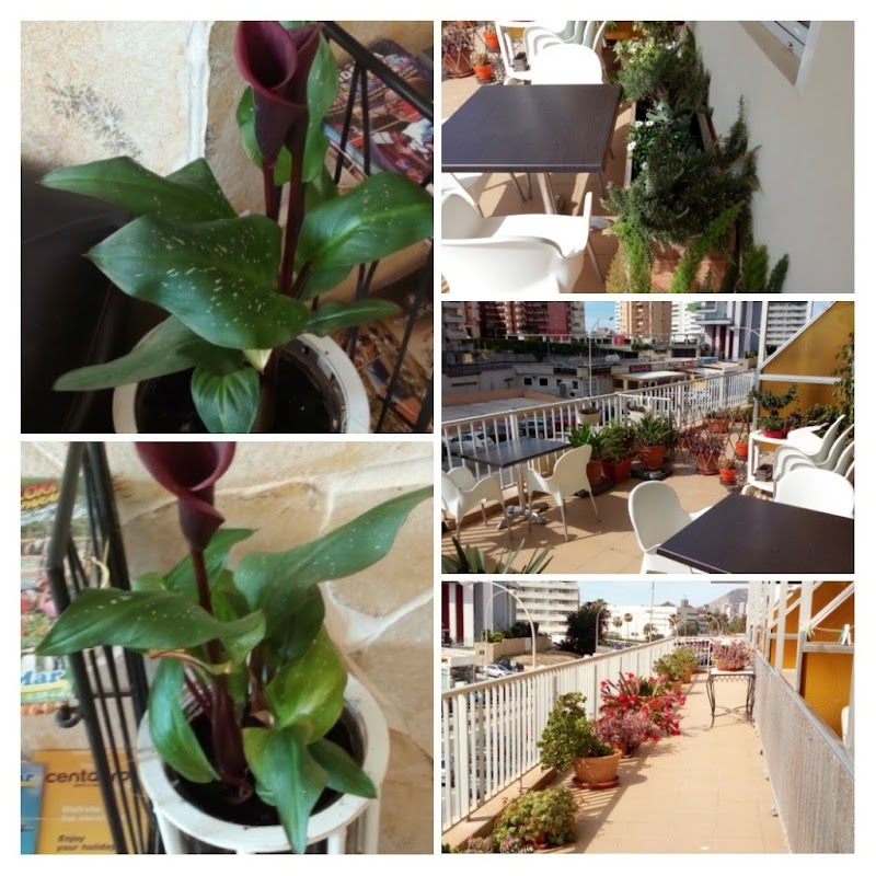 Imagen de Pensión el Hidalgo