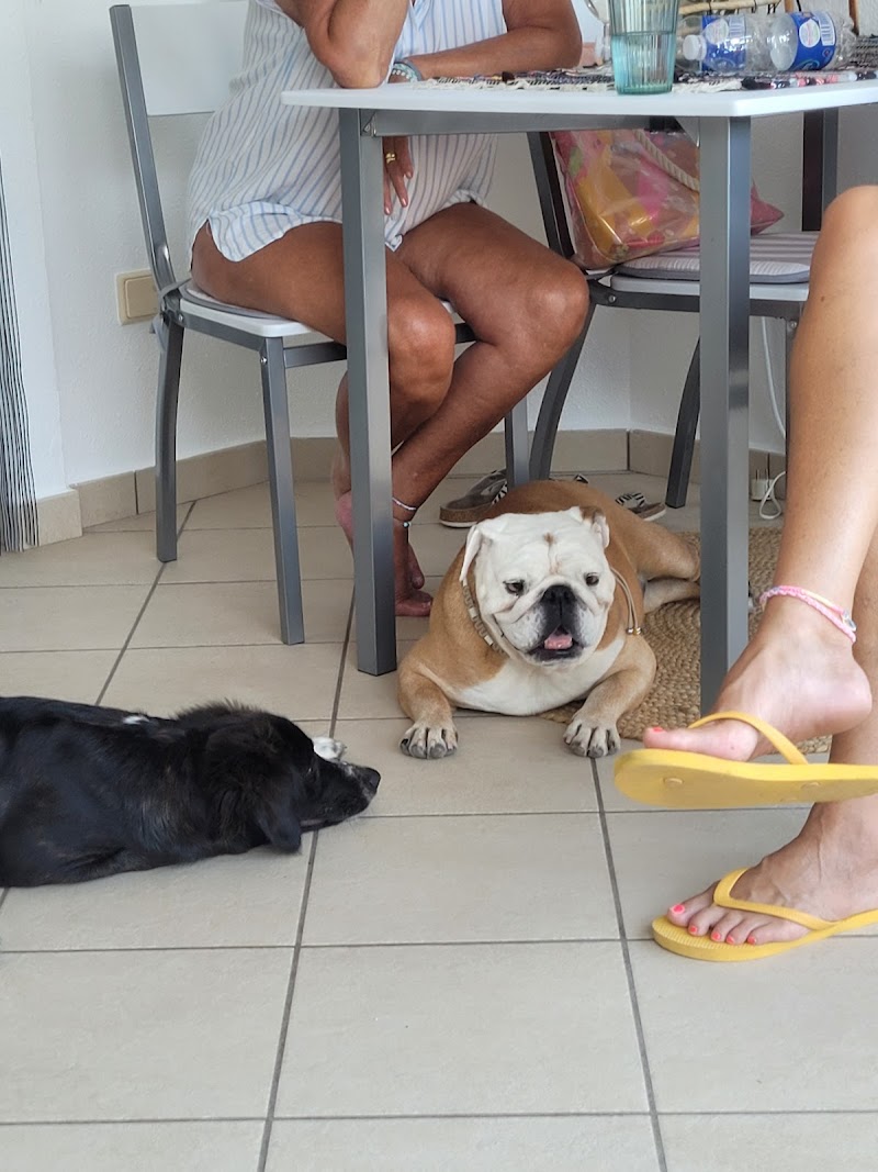 Imagen de Clinica Veterinaria Bernia Gata de Gorgos