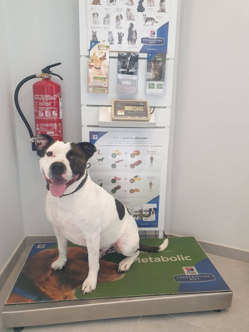 Imagen de Clinica Veterinaria Bernia Gata de Gorgos