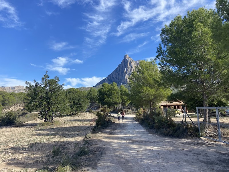 Imagen de El Olivo Nature & Life