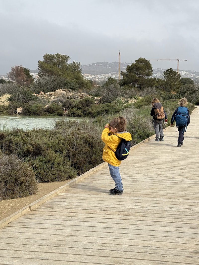 Imagen de El Olivo Nature & Life