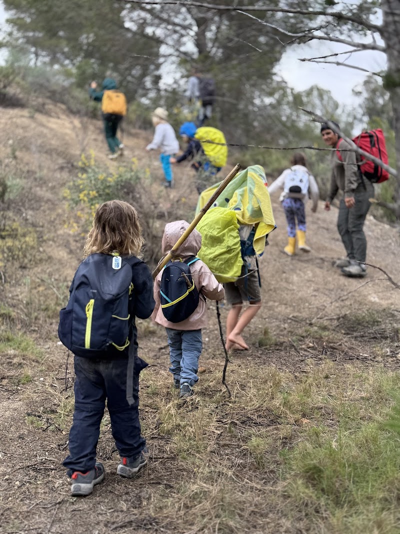 Imagen de El Olivo Nature & Life