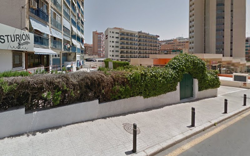Imagen de negocio en Servicios de albañilería en Provincia de Alicante